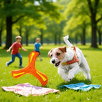 Outdoor Toys Frisbee Three Leaf Design Outdoor Eva Material